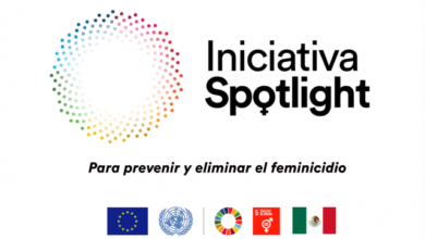 Iniciativa Spotlight