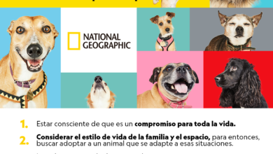 NATIONAL GEOGRAPHIC