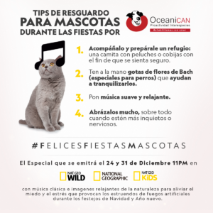 FELICES FIESTAS, MASCOTAS