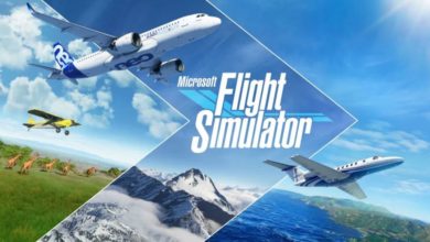 Microsoft Flight Simulator