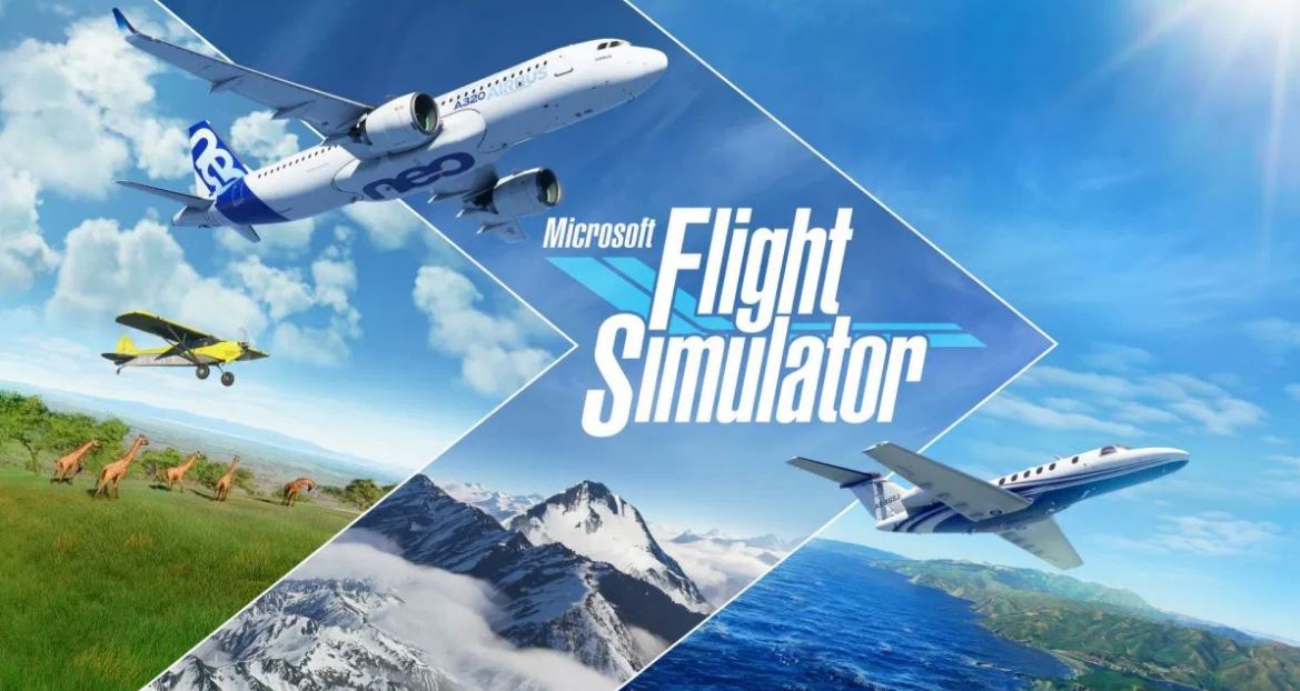 Microsoft Flight Simulator