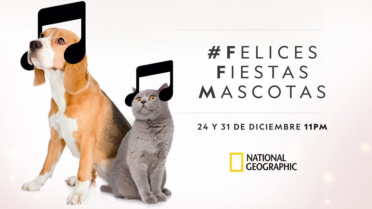 FELICES FIESTAS, MASCOTAS