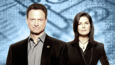 CSI NY