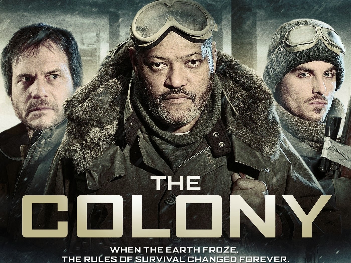 The Colony