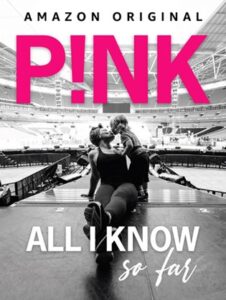 P!Nk: All I Know So Far