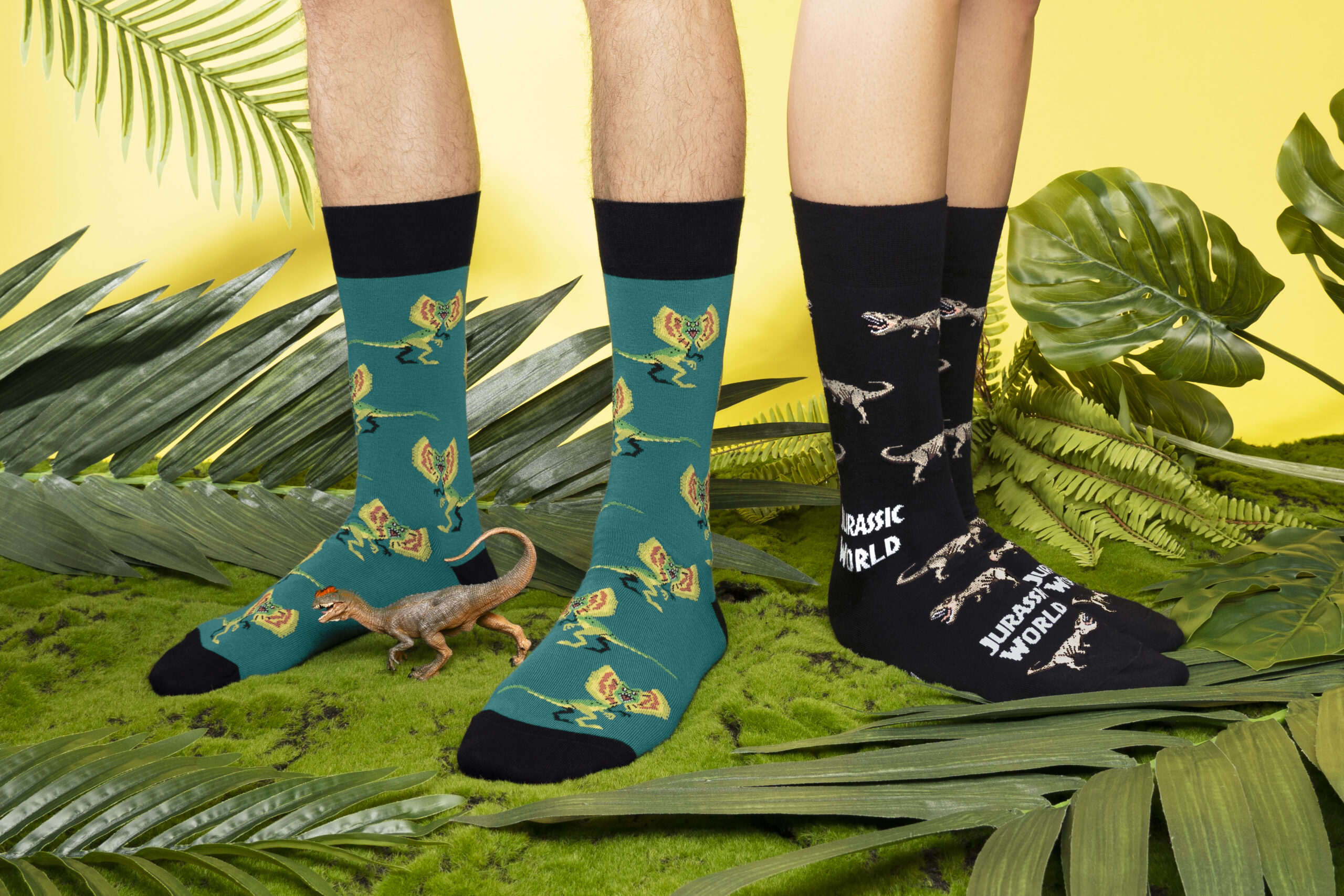 Jurassic Park socks