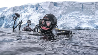 NATIONAL GEOGRAPHIC OCEANO