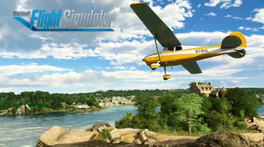 Microsoft Flight Simulator