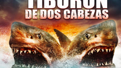 Tiburon de 2 cabezas