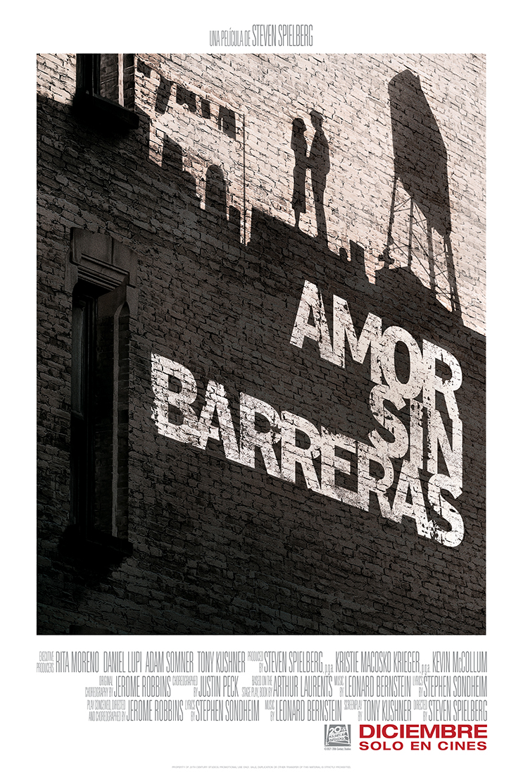 AMOR SIN BARRERAS POSTER