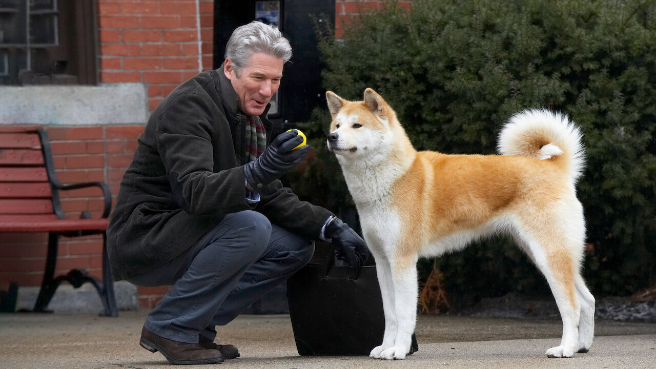 Hachiko Perritos en Directv go