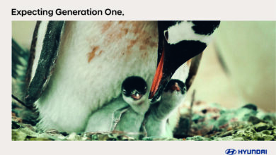 Expecting Generation One