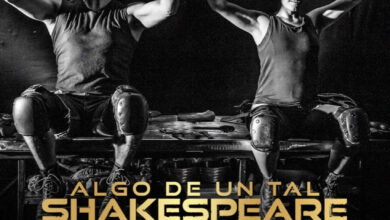 Algo de un tal Shakespeare Póster