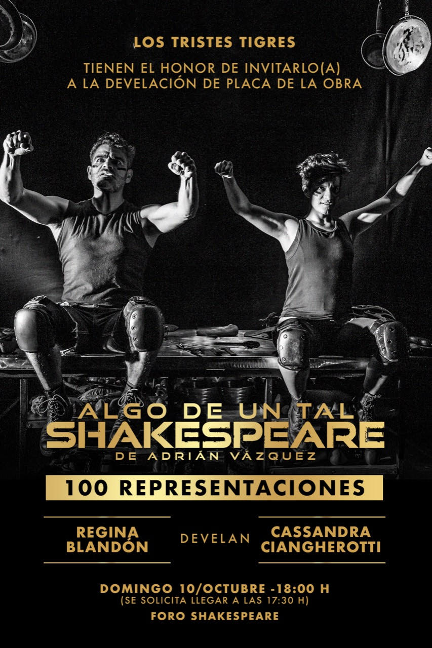 Algo de un tal Shakespeare Póster