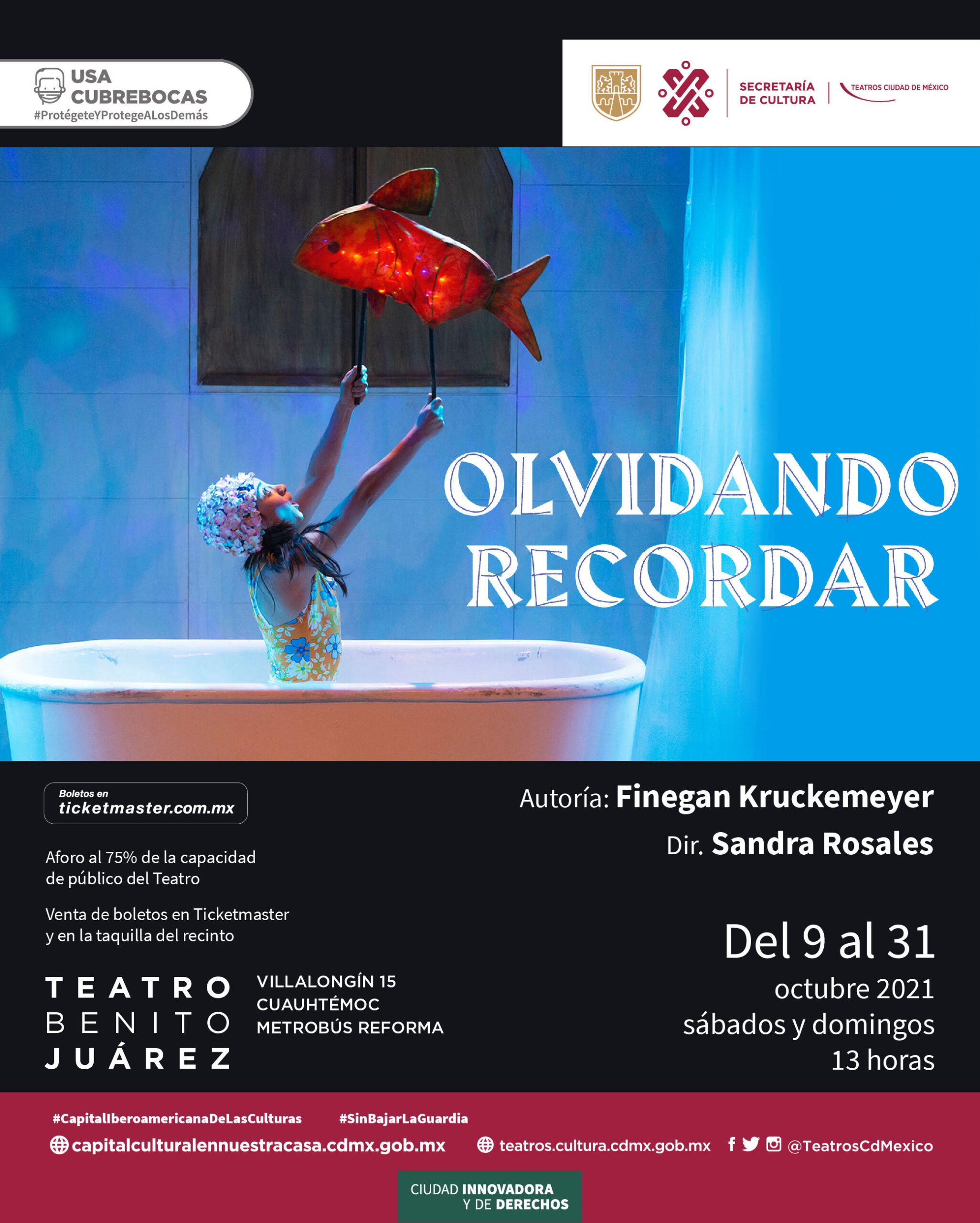 Olvidando recordar Póster