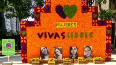 Muejeres Vivas Libres