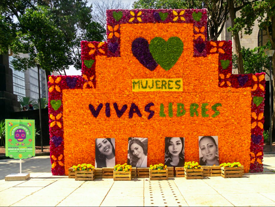 Muejeres Vivas Libres