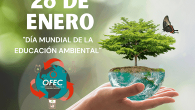 Día Mundial de la Educación Ambiental