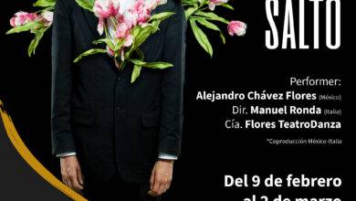 El Gran Salto de la compañia Flores TeatroDanza