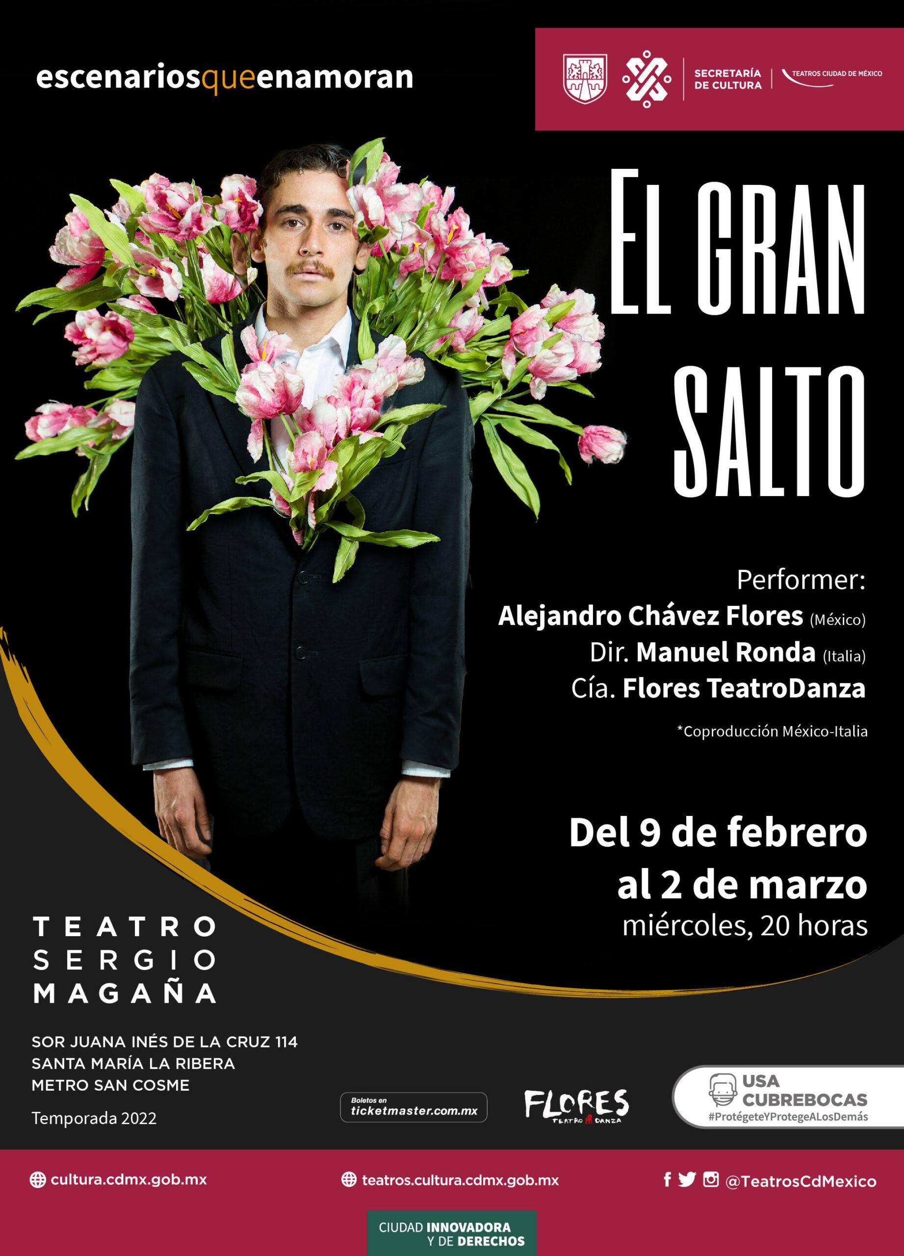 El Gran Salto de la compañia Flores TeatroDanza