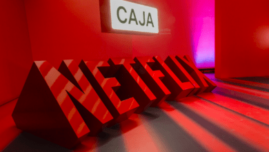 CAJA NETFLIX