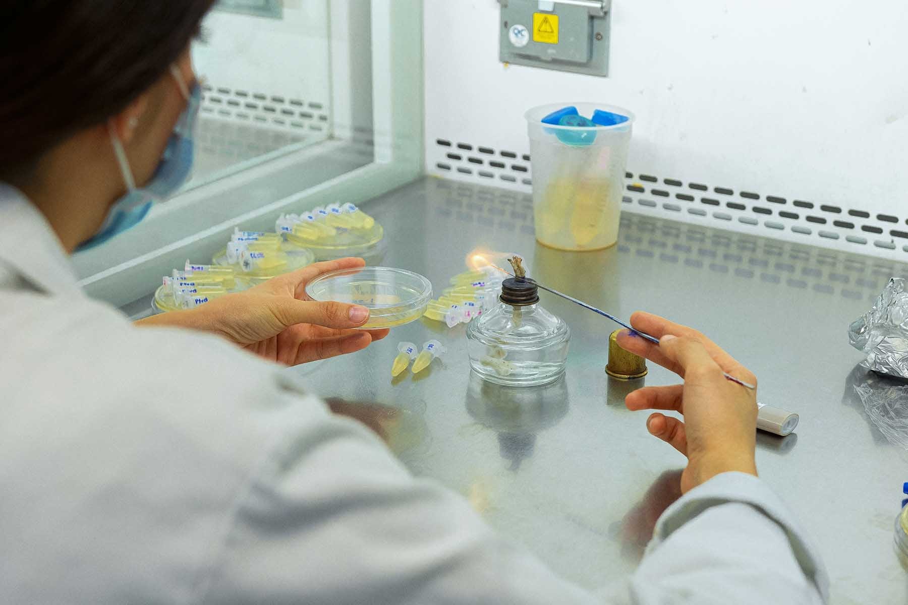 Crece investigación en universidades particulares