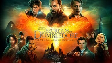 ANIMALES FANTÁSTICOS: LOS SECRETOS DE DUMBLEDORE