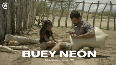 BUEY NEON - CINE