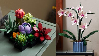 LEGO suculentas y orquídeas