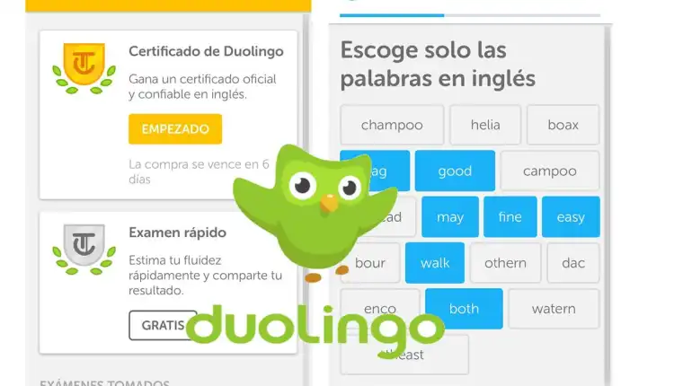 Duolingo English Test