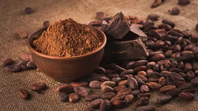 Cacao