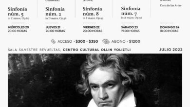 Las nueve sinfonías de L. V. Beethoven en cinco días