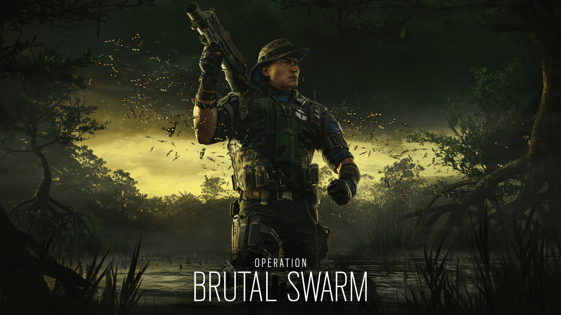 Operation Brutal Swarm