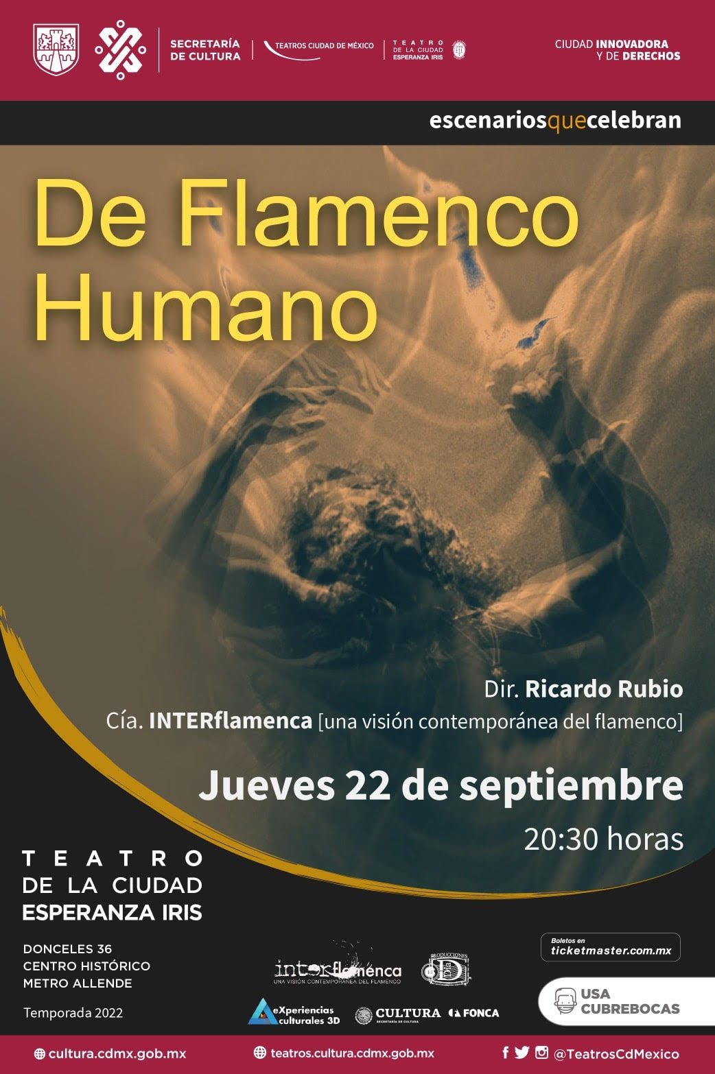 De flamenco humano