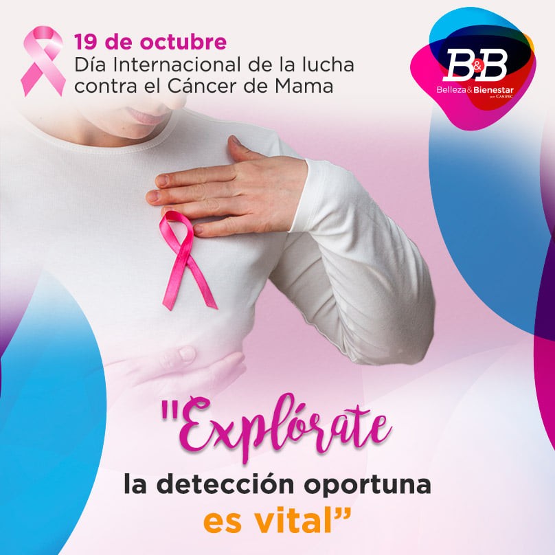 B&B Belleza & Bienestar