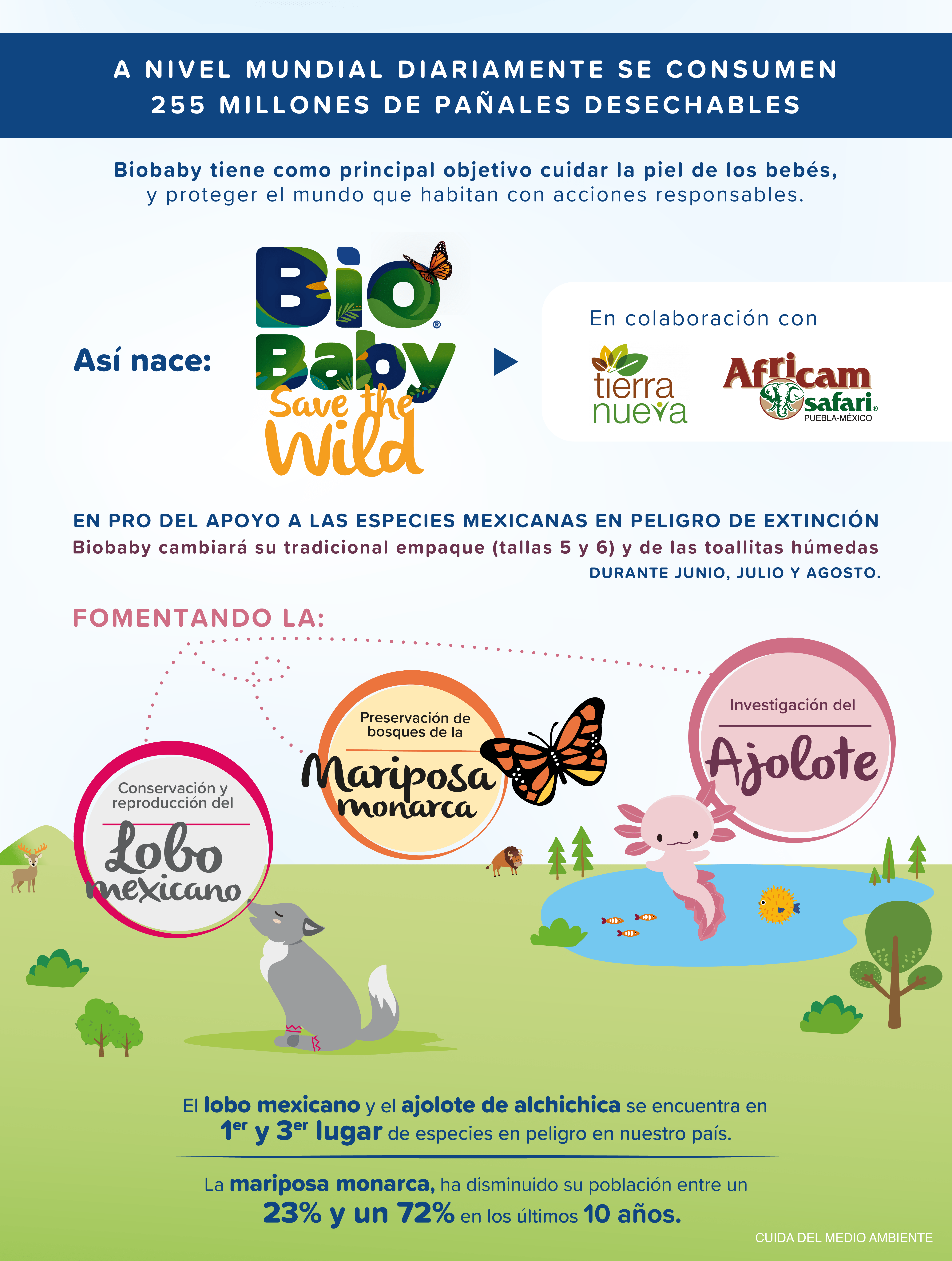 Bio Baby Infografia