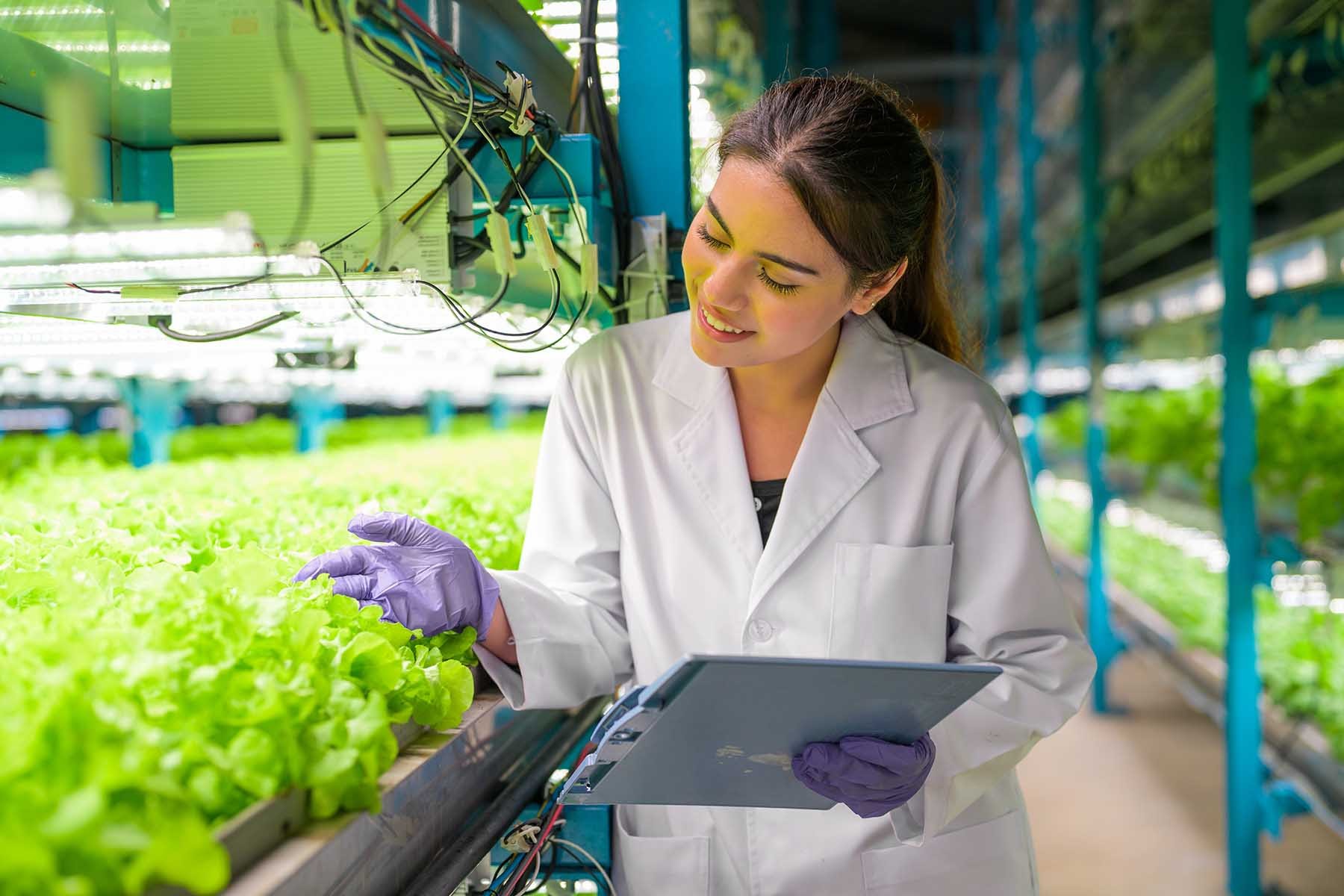 Ingeniero Empresarial Agropecuario